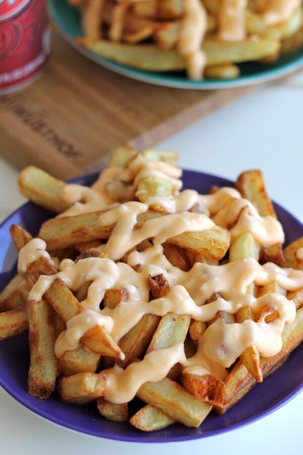 Cheesy Salted Fries